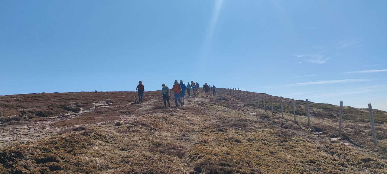 WhatsApp Image 2026-04-08 at 07.40.53 (3)